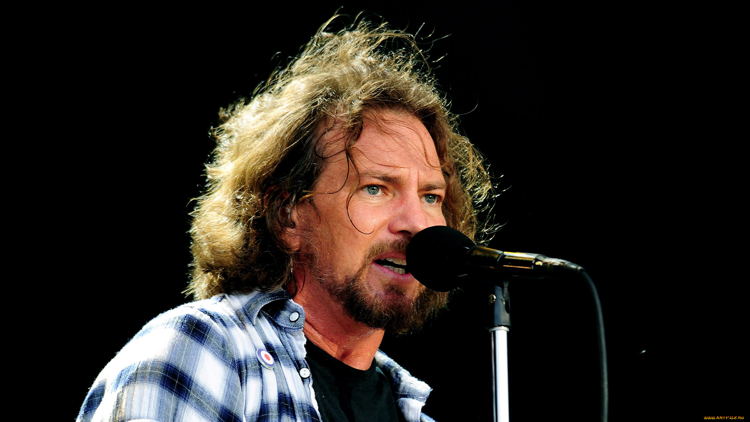 eddie vedder, , 